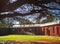 INNER COURT OF FORT SCHANSKOP WITH LARGE ACACIA TREE