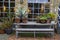 Inner courtyard of a building with floor-to-ceiling windows with table on which stand various house plants in pots