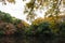 Inner Gardens at Meiji Jingu located in Shibuya, Tokyo, Japan