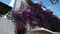 Inner streets of Obidos castle. Houses with flower vines of lavender or violet.