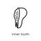 Inner Tooth icon. Trendy modern flat linear vector Inner Tooth i