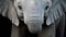 Innocence Unveiled: Baby Elephant\\\'s Big, Enchanting Eyes