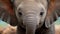 Innocence Unveiled: Baby Elephant\\\'s Big, Enchanting Eyes