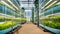 Innovative Indoor Farming: A Sustainable Future