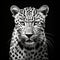 Innovative Realism: Minimalist Black And White Leopard With Bold Saturation