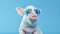 Innovative Retro Glamor: Pig With Blue Sunglasses On Blue Background