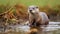 Innovative Techniques Capture Otter Grazing In Shallow Depth Of Field