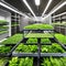 An innovative vertical farm that combines agriculture with residential and commercial spaces1