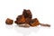 Inonotus obliquus, chaga chunks on white.