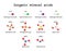 Inorganic mineral acids molecules set