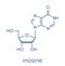 Inosine nucleoside molecule. Found in tRNA. Used as fitness nutritional supplement. Skeletal formula.