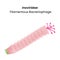 Inoviridae filamentous bacteriophage