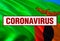 Inscription Coronavirus COVID-19 on Zambia flag background. World Health Organization WHO introduced new official name for