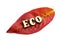 The inscription eco wooden letters on autumn leaf