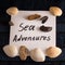 Inscription in English sea adventures and different seashells around
