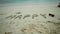 Inscription happy on sand and seascape on a background