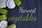 The inscription harvest of vegetables on a gray wooden background. Banner with fresh vegetables zucchini, cucumber, cabbage, green