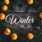 Inscription Hello Winter on a wooden background with fir branches tangerines