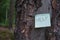 inscription HELP on a green sticker glued to an old tree in the forest. get lost in the woods, help those lost in woods
