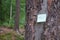 inscription HELP on a green sticker glued to an old tree in the forest. get lost in the woods, help those lost in woods