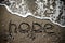 The inscription HOPE on a wet sand seacoast. Toned