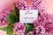 inscription I am sorry on a white gift card in a beautiful spring bouquet of lilac