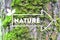 Inscription Nature on the arrow tree bark background The concept of ecology Natural banner