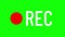 Inscription rec and blinking red circle dot on a green background. Motion graphic video recording animation