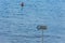 The inscription on the sign-plate `Cafe on the waterfront.` A woman swims in the sea or river. Summer Sunny day on the beach