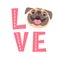 The inscription on the t-shirt of the owner of the dog. Word LOVE with a pug face.