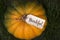 The inscription `Thankful` on the pumpkin. Thanksgiving Day