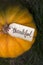 The inscription `Thankful` on the pumpkin. Thanksgiving Day