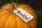 The inscription `Thankful` on the pumpkin. Thanksgiving Day