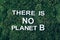 Inscription There Is No Planet B on moss, green grass background. Top view. Copy space. Banner. Biophilia concept