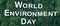 Inscription World environment day on moss, green grass background. Top view. Copy space. Banner. Biophilia concept