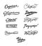 Inscriptions in Russian. Cyrillic. Slim, fresh, not ashamed, dominant, seductive, great, games. Logos and inscriptions isolated on