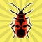 Insect anatomy. Sticker Pyrrhocoris apterus. beetle. Bug-soldier. Firebug. Sketch of beetle. beetle Design for coloring