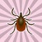 Insect anatomy. Sticker Tick parasite. Sketch of Tick. Mite. Tick Design for coloring book. hand-drawn Tick. Vector