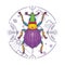 Insect Beetle Bug Design Elements with Line Graphic