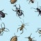 Insect beetle seamless pattern, background with engraved animal hand drawn style