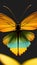 Insect biology Wildlife world butterfly illustration