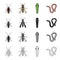 Insect cockroach, wasp, caterpillar, worm. Insects set collection icons in cartoon black monochrome outline style vector