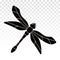 Insect dragonfly flat vector icon on a transparent background