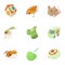 Insect extermination icons set, cartoon style