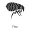 Insect flea vector icon.Black vector icon isolated on white background insect flea .