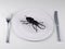 Insect food on a plate, the future food concepts