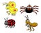 Insect Group