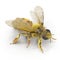 Insect honey bee isolated on white. 3D illustration