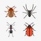 Insect icon flat isolated nature flying bugs beetle ant and wildlife spider grasshopper or mosquito cockroach animal