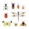 Insect icon flat isolated nature flying butterfly beetle ant and wildlife spider grasshopper or mosquito cockroach